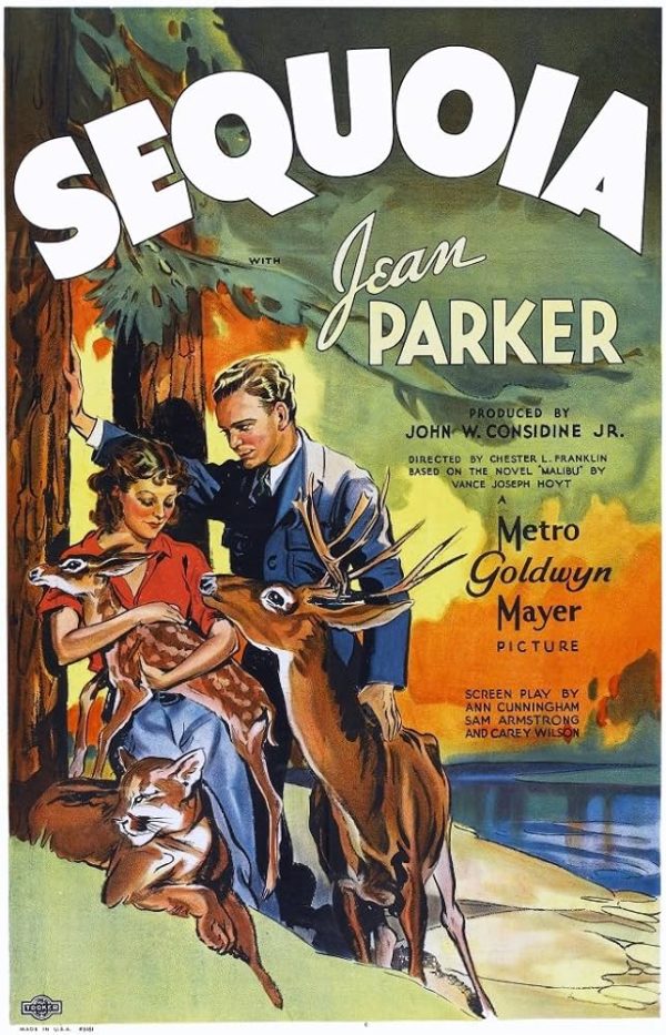 Sequoia (1934) - Jean Parker  DVD For Sale