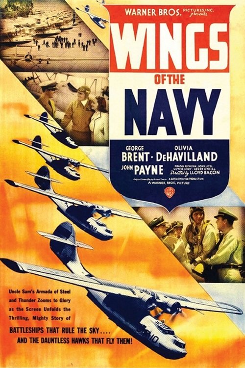 Wings Of The Navy (1939) - John Payne  DVD For Sale